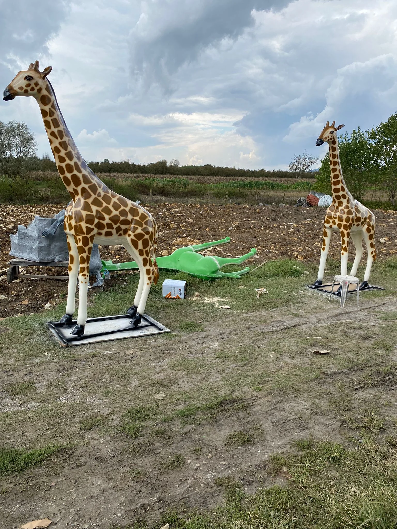 galeri_20260723_100044_ce064c193cce5bd17d32